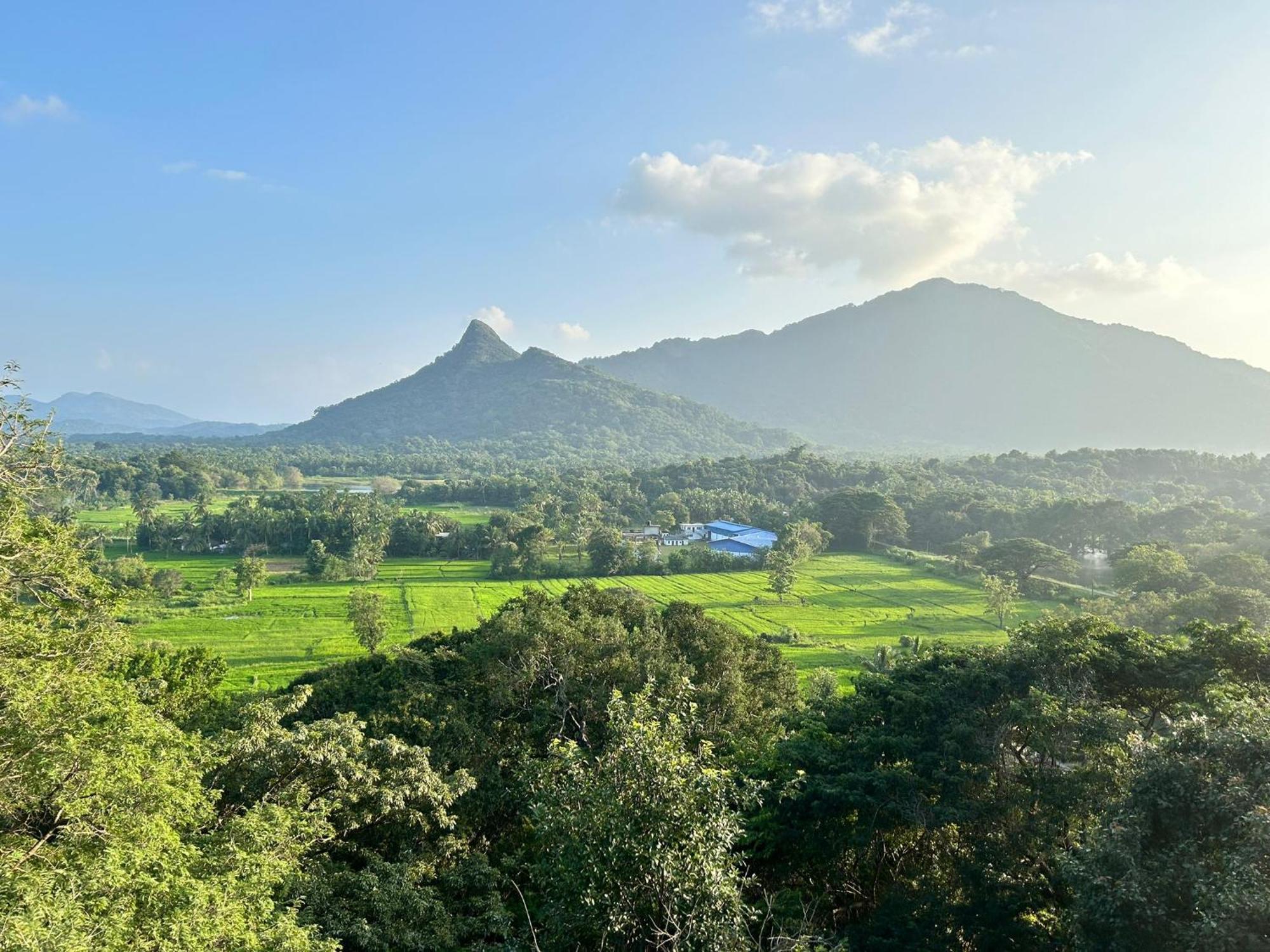 Ferienwohnung Ridge Boundary View Dambulla Exterior foto