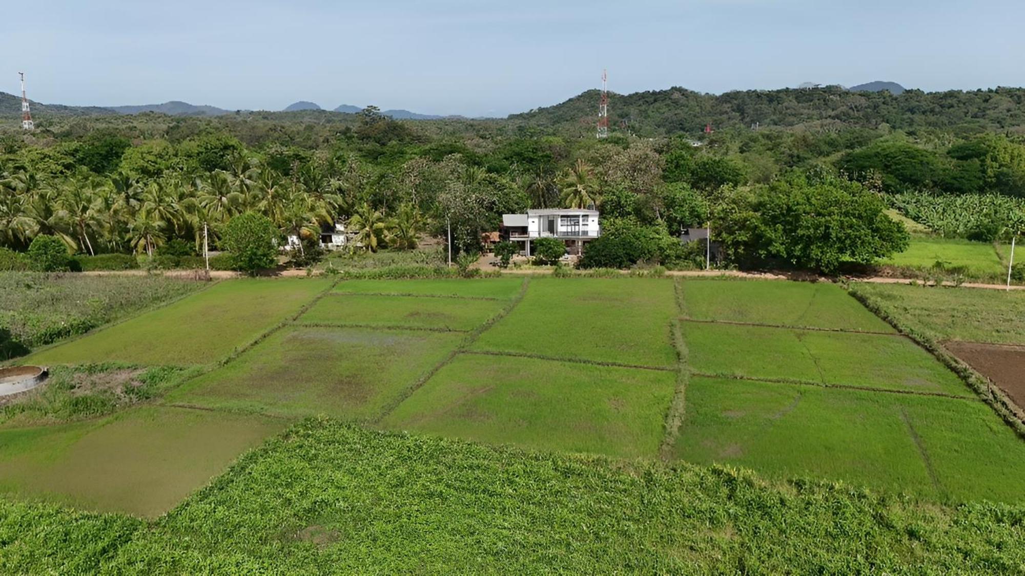 Ferienwohnung Ridge Boundary View Dambulla Exterior foto